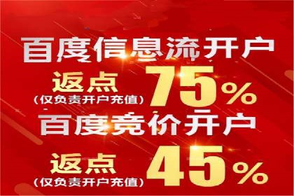 掌握SEM竞价技巧：从案例看效果提升